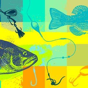 Colorful fish swimmng in a lake.