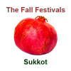 Fall Jewish Festivals Part 3: Sukkot